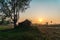 Sunrise rice fields