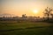 Sunrise rice fields