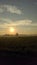 Sunrise, ricefield, morningsview, sun, relax