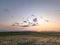 Sunrise at the ricefields on landscape view