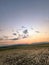 Sunrise at the ricefields on landscape view so beautiful