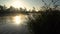 Sunrise on the riverbank. Landscape with reeds on first plan and smoke on the water