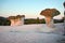 Sunrise at a rock phenomenon The Stone Mushrooms, Bulgaria