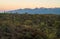 Sunrise at Saguaro National Park in Southern Arizona