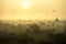 Sunrise scene hot air balloons fly over pagoda ancient city field in Bagan Myanmar.High image quality