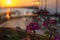 sunrise on the sea coast. beautiful pelargonium flowers on the terrace during sunrise. concept of an atmospheric morning during va