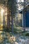 Sunrise seen in the frorest behind wooden house, Finland
