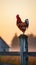 Sunrise Serenade: Rooster Crowing on Fence Post with Red Barn in Background