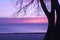 Sunrise in shades of pink and lavender, Pratt Beach, Chicago