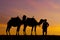 Sunrise silhouette of camels and handler, Merzouga