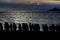 Sunrise silhouette of king penguins with southern ocean background