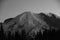 Sunrise Silhouette: Mt. Rainier Head Shot Grey Tones, Mount Rainier National Park