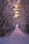 Sunrise Sky Over A Snowy Treelined Road