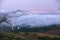 Sunrise. Spring scenery in foggy day. Panoramic view in lawn are covered by pink rhododendron flowers. Beautiful photo of mountain