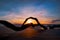 Sunrise Star Spikes glowing on beach with driftwood