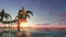 Sunrise, sunset on paradise island seamless footage