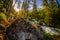 Sunrise in Taiga forest Barguzin Nature Reserve with rapid mountain river and stone