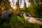 Sunrise in Taiga forest Barguzin Nature Reserve with rapid mountain river and stones