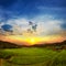 Sunrise Terraced Rice Field in Chiangmai