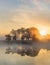 Sunrise at tranquil misty wetland, Flanders, Belgium