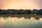 Sunrise tranquil river scenery landscape with reflection on calm water in Yala national park reserve wetlands in Sri Lanka in ora