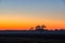 Sunrise tree by Ripon California