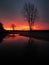 Sunrise Tree Silhouette Reflection in floodwater