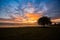 Sunrise, trees and grass