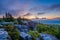 Sunrise view from Bear Rocks Preserve in Dolly Sods Wilderness, Monongahela National Forest, West Virginia