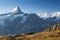 Sunrise view on Bernese range above Bachalpsee lake. Highest peaks Eiger, Jungfrau and Faulhorn in famous location. Switzerland