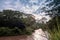 Sunrise view of Ishasha river, with trees growing and the reflections on the water, Queen Elizabeth National Park, Ishasha