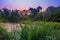 Sunrise view of Ishasha river, with trees growing and the reflections on the water, Queen Elizabeth National Park, Ishasha