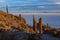 Sunrise views of the Salar de Uyuni from Isla Incahuasi. Uyuni, Bolivia