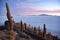 Sunrise views of the Salar de Uyuni from Isla Incahuasi. Uyuni, Bolivia