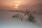 Sunrise in White Dunes National Monument