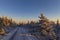 Sunrise in winter landscape near Velka Destna, Orlicke mountains, Eastern Bohemia, Czech Republic