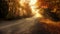 The suns rays filter through the treelined highway casting a warm golden glow upon the road. The vibrant colors of the