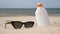 Sunscreen protection lotion and sunglasses in the sand on a sunny day at the beach. White sunblock cream protection bottle from