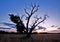 Sunset at 17 Mile Farm Park, Aurora, Colorado