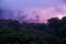 Sunset above rainforest, Sri Lanka