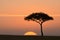 Sunset in africa