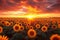 Sunset allure Sunflower field with dramatic sky, a worlds beauty