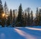 Sunset alpine mountain snowy winter fir forest, sunshine, long shadows on snow drifts