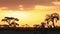 Sunset in Amboseli Park, Kenya