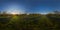 Sunset in apple garden spherical panorama