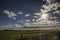 Sunset in Argentina Pasture fields and meadows