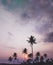 sunset atmosphere on the beach with coconut tree in tropical island