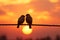 Sunset backdrop frames bird couples silhouette on wire symbolizing affection