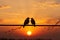 Sunset backdrop frames bird couples silhouette on wire symbolizing affection
