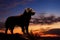 Sunset backdrop paints a serene silhouette of a loyal dog